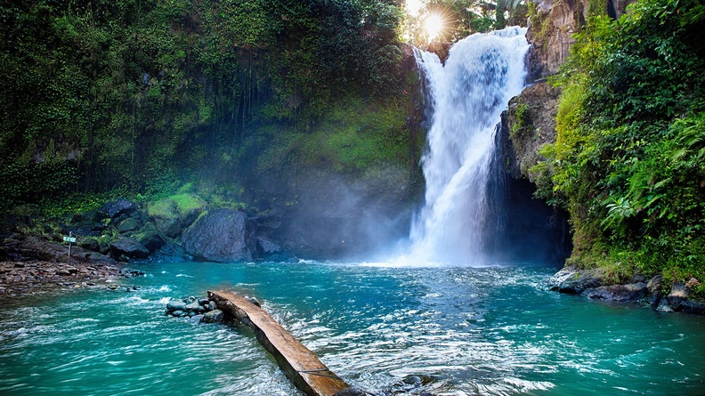 Forest waterfall into small pond